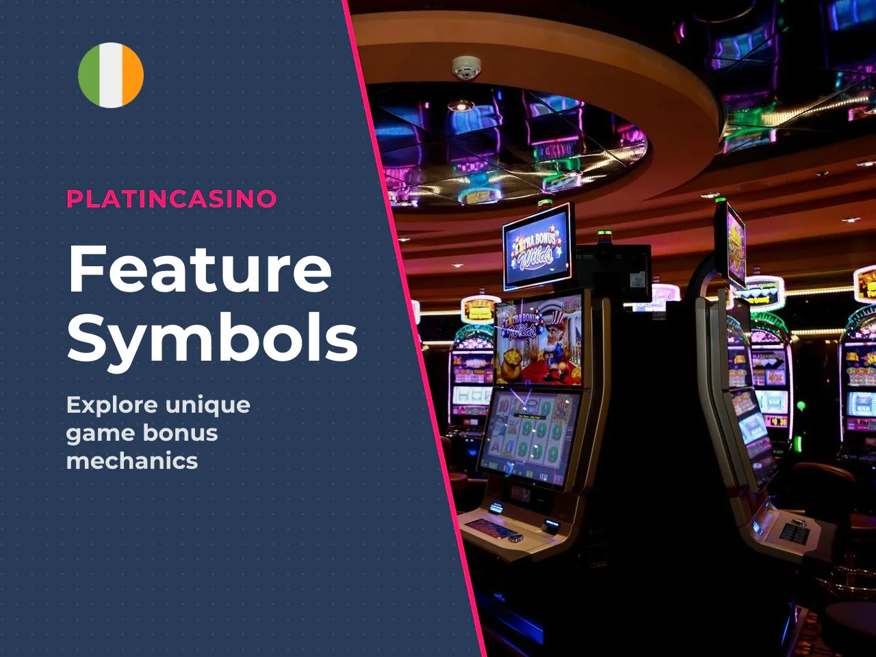 Feature Symbols and the Wild Symbol