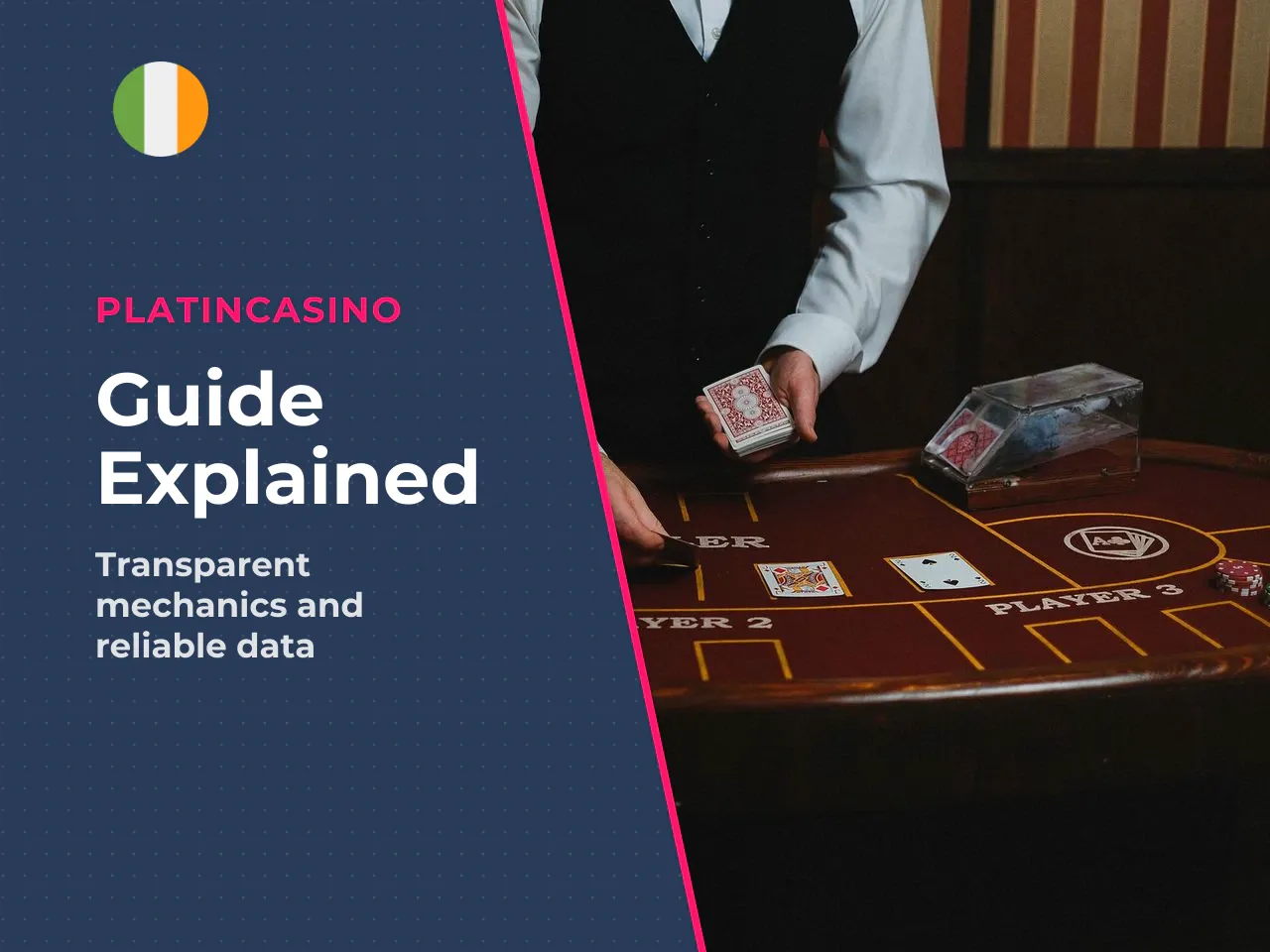 Who This Guide Is For, and