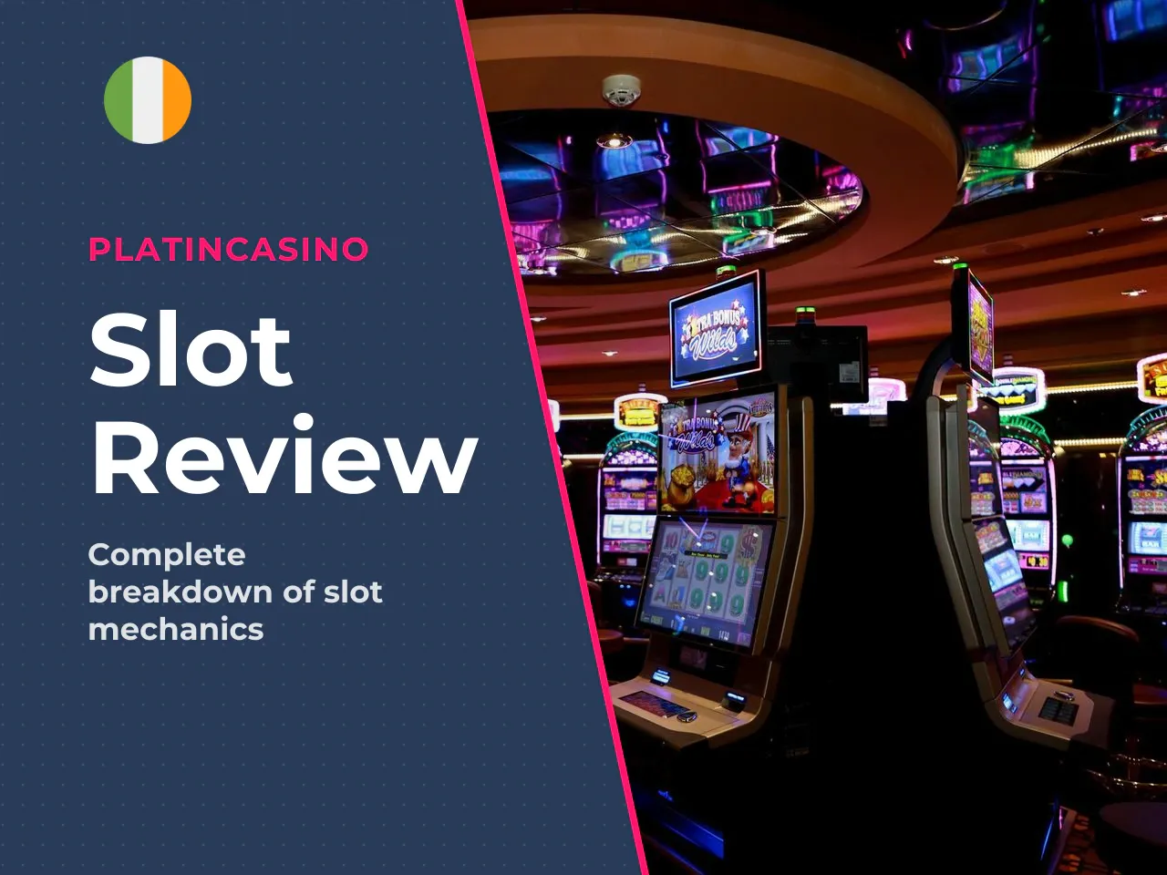 The Dog House RTP, Volatility and